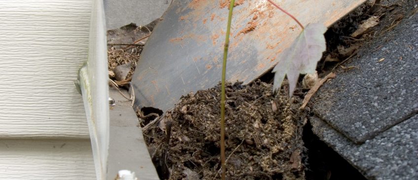 gutter cleaning tools