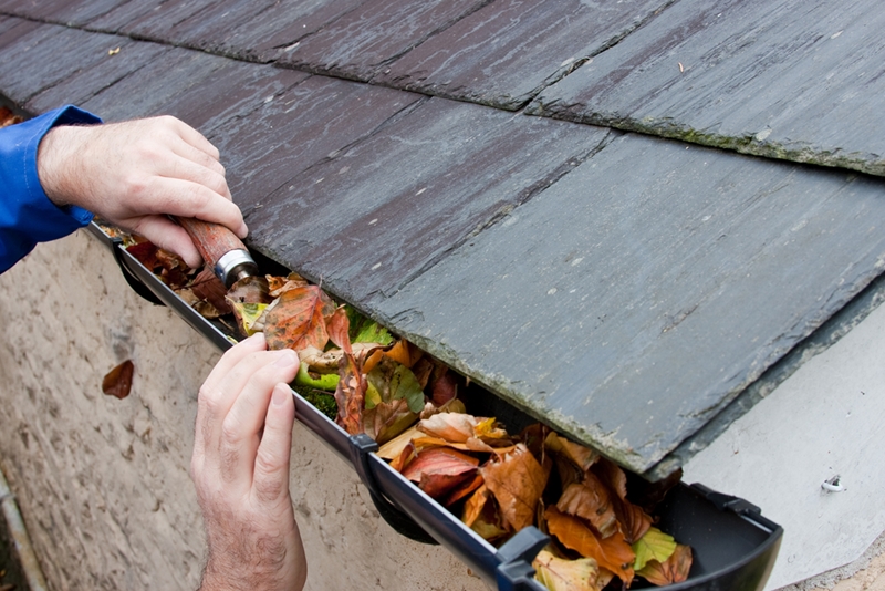 gutter guards