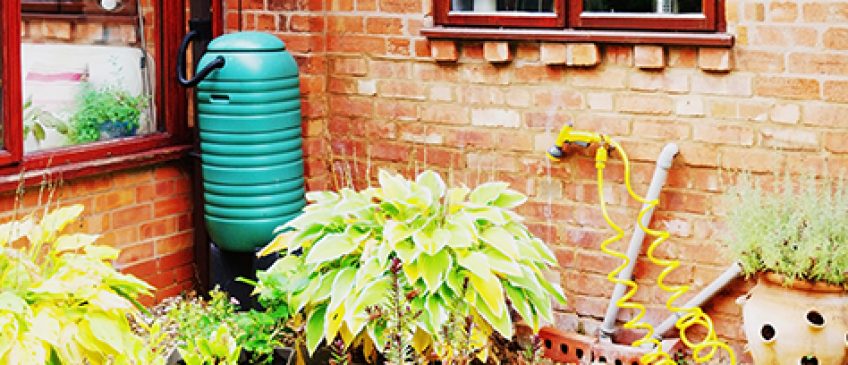 How to harvest rainwater