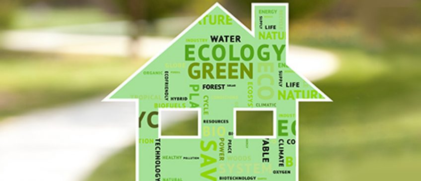 Create an Eco Friendly Home