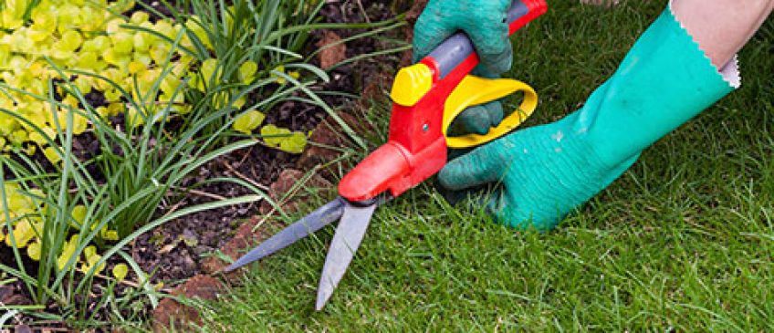 Flower bed edging