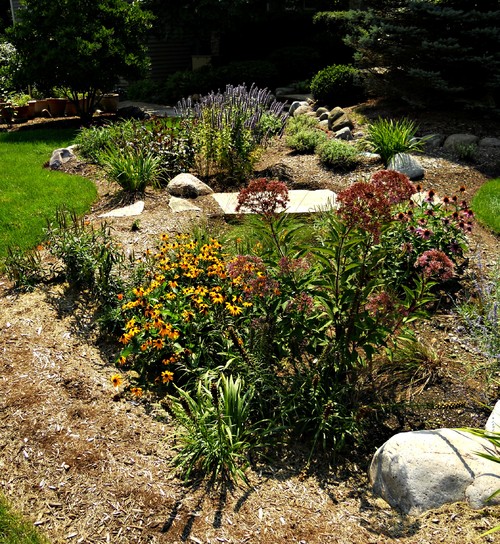 Rain Gardens