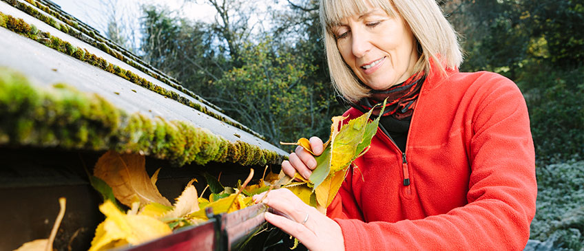 gutter cleaning