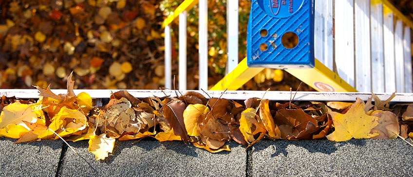 Clogged Gutters