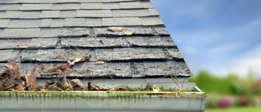 Clogged gutters showing damage to house shingles and discoloration of gutters