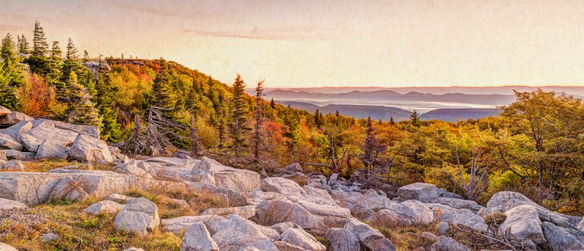 A mountainous region in the Allegheny Plateau lit up by fall foliage.